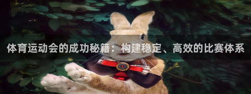 球王会体育：体育运动会的成功秘籍：构建稳定、高效的比赛体系