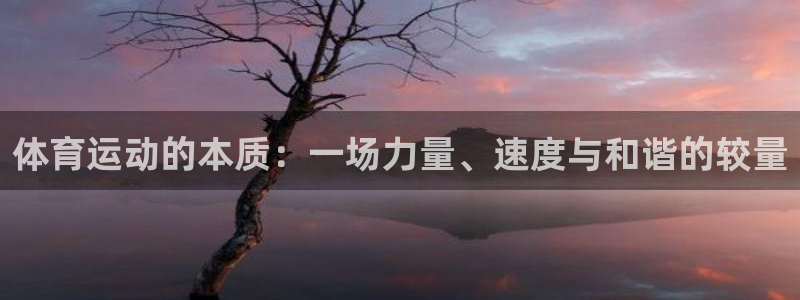 球王会体育：体育运动的本质：一场力量、速度与和谐的较量