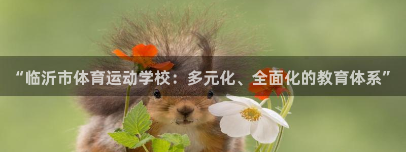 球王会体育：“临沂市体育运动学校：多元化、全面化的教育体系”
