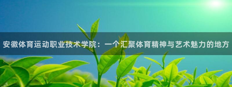 球王会体育：安徽体育运动职业技术学院：一个汇聚体育精神与艺术魅力的地方