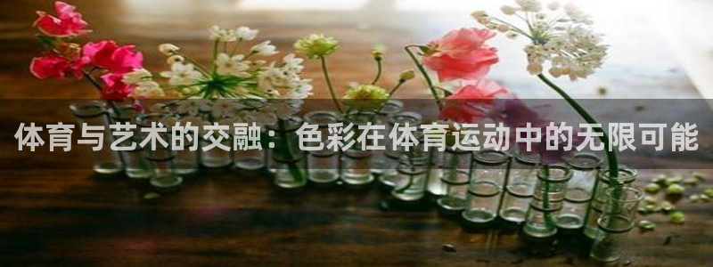 球王会体育：体育与艺术的交融：色彩在体育运动中的无限可能