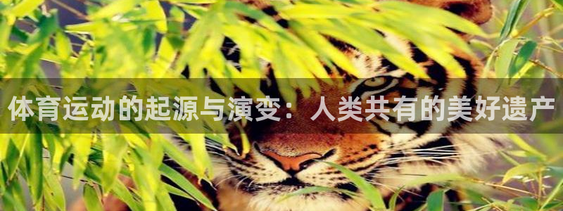 球王会体育：体育运动的起源与演变：人类共有的美好遗产